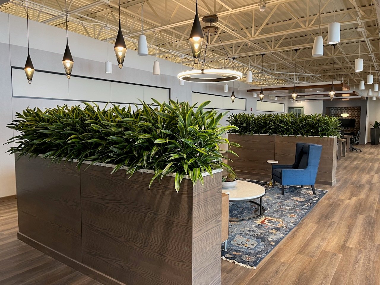 Plants in office space by Peachtree Plants