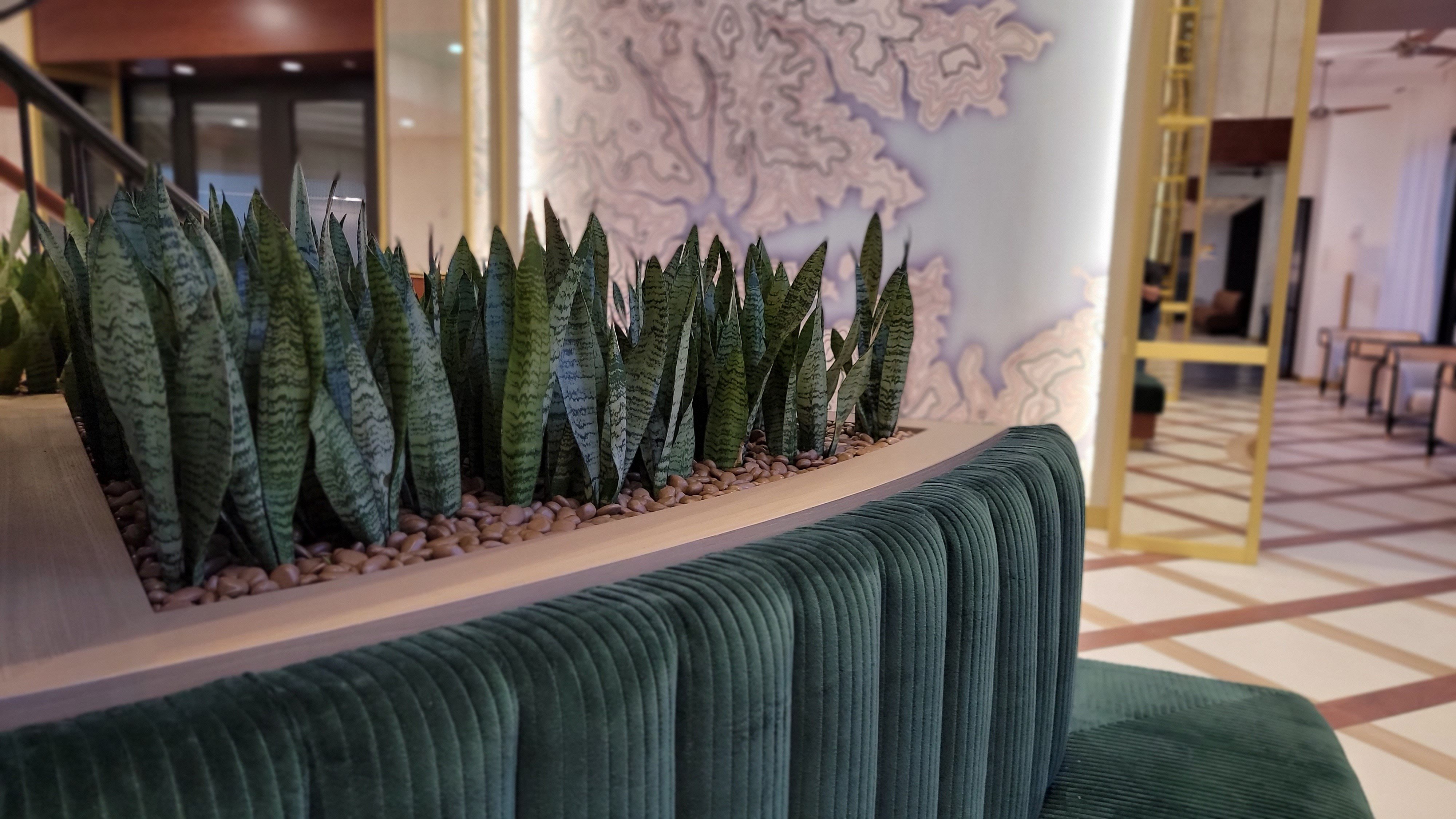 Custom plantscape design by Peachtee Plants