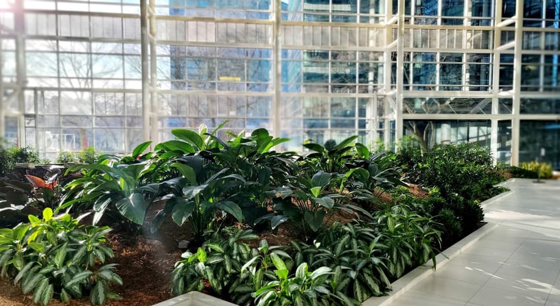 plants in lobby