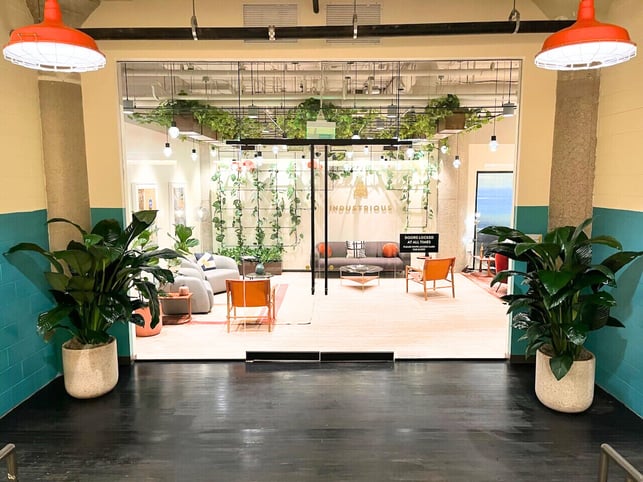 Beautiful plants in an office