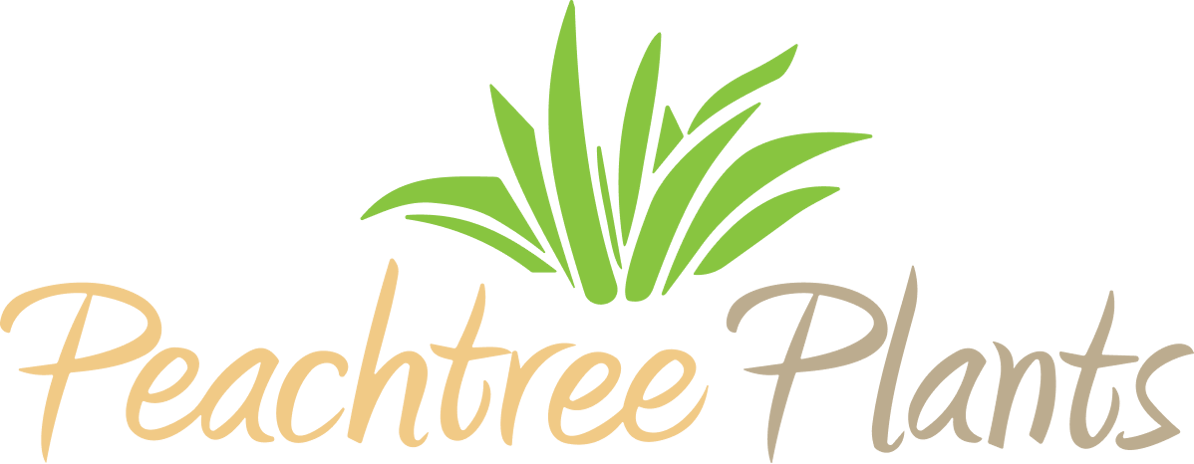 Peachtree Plants