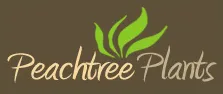 Peachtree Plants